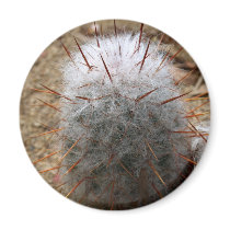 Furry Cactus magnets by Gilliand_Photo Furry Cactus magnets