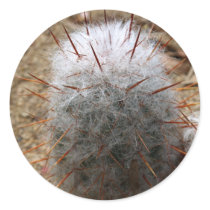 Furry Cactus stickers