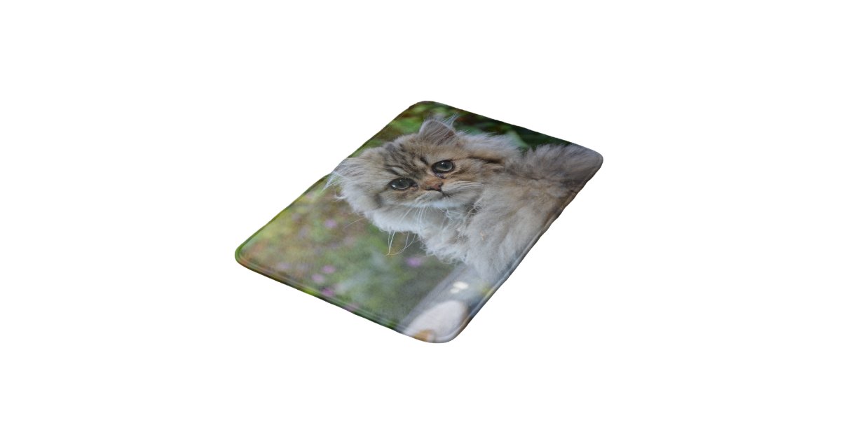 Furry Cat Bath Mat 