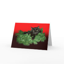Furry Cat Holiday Card
