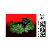 Furry Cat Postage Stamps stamps