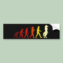 Furry evolution bumper stickers