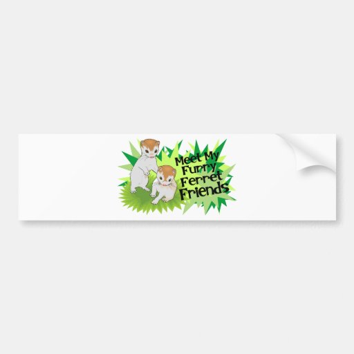 Furry Ferret Friends Bumper Stickers