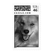 Furry Friend postage by tanyacoffey Furry Friend postage