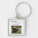 furry funnies bird and mouse? keychains