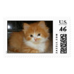 Furry Kitty postage