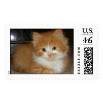 Furry Kitty postage by ladeekatt Furry Kitty postage