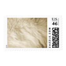 Furry postage