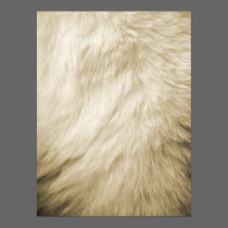 Furry print posters