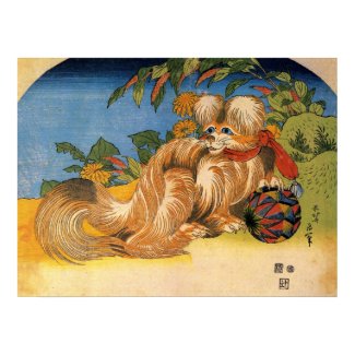 Furry Vintage Chinese Dog print