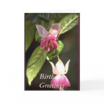Fuschia,   Birthday Greetings Greeting Cards