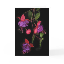 Fuschia Blossoms on Black cards by DocPixel Fuschia Blossoms on Black cards