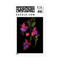 Fuschia Blossoms on Black Stamps