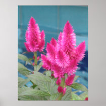 Fuschia Botanicals Poster Print posters
