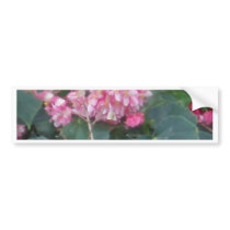 fuschia bumper stickers by camobabygifts fuschia bumper stickers
