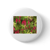 fuschia bush buttons by kathiscc fuschia bush buttons