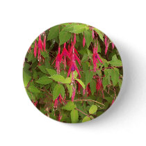 fuschia bush buttons by kathiscc fuschia bush buttons