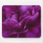 Fuschia Carnation mousepad
