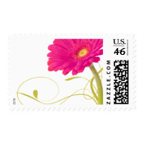 Fuschia Daisy Gerbera Wedding Stamps
