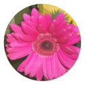 Fuschia Gerbera Daisy Sticker by postcardsfromtheedge Fuschia Gerbera Daisy Sticker