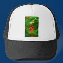Fuschia hats