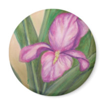 Fuschia iris magnet magnets