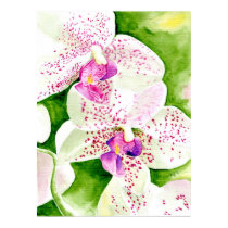 Fuschia Orchid Canvas Print by mozache Fuschia Orchid Canvas Print
