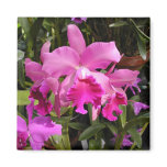 Fuschia Orchid Fridge Magnet