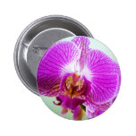 Fuschia orchid pin