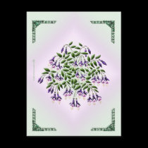Fuschia Postcard postcards