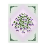 Fuschia Postcard