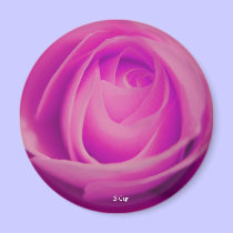 Fuschia Rose, S Cyr magnets