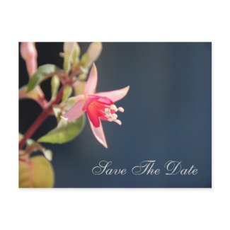 Fuschia Save The Date Wedding Postcard postcard