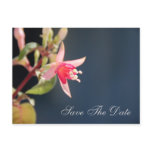 Fuschia Save The Date Wedding Postcard