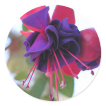 Fuschia Sticker by touchedbyamoose Fuschia Sticker