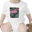 fuschia t-shirts