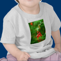 Fuschia t-shirts