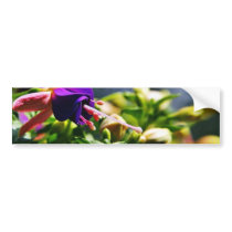 Fuschias Flowers bumper stickers by lifesphere Fuschias Flowers bumper stickers