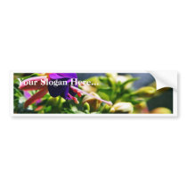 Fuschias Flowers bumper stickers by lifesphere Fuschias Flowers bumper stickers