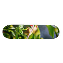 Fuschias Flowers Skate Board