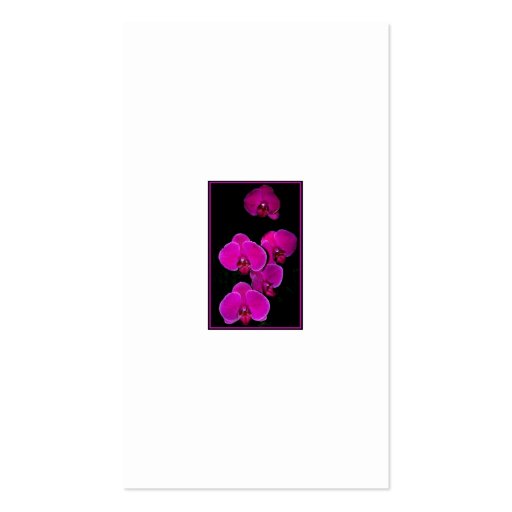 Fuscia Orchids Business Cards (back side)