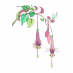 Fuscia t-shirts
