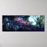Fushia Spring Print