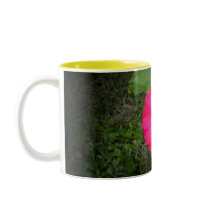 Fushia Zinnia Mug mugs