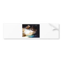 Fuss Me Please Pumpkin. Bumper Sticker