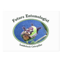 Future Entomologist Bug Business Card Templates