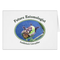 Future Entomologist Bug Greeting Cards