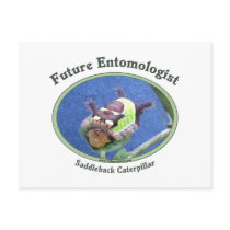 Future Entomologist Bug Postcard