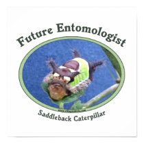 Future Entomologist Bug Posters