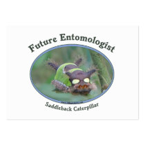 Future Entomologist Caterpillar Business Card